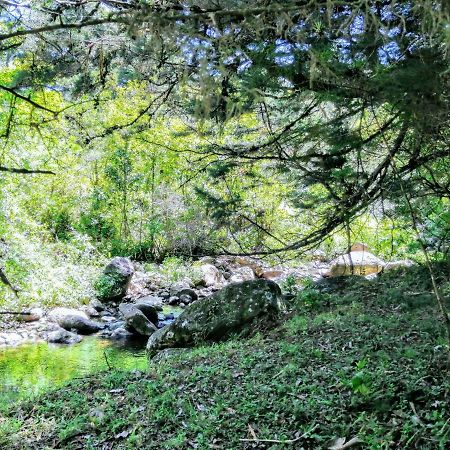 Cabana Mountain View Heredia Ngoại thất bức ảnh